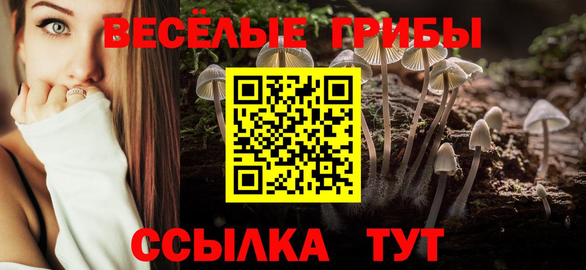 Псилоцибиновые грибы GOLDEN TEACHER  Галлюциногенные грибы Magic Shrooms  Вход с VPN  Ирбит 